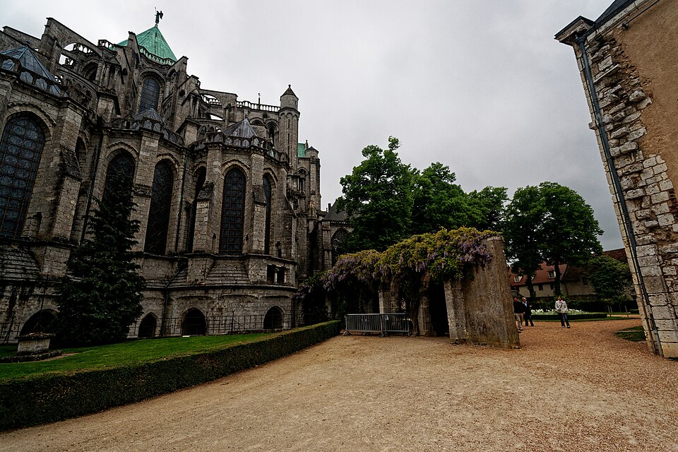 Chartres - Les Jardins de l'Évéché - Choir Chapels of Chartres Cathedral - Flowering Wisteria. @Wikimedia Commons